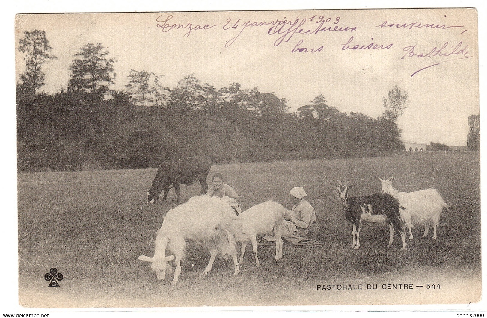 PASTORALE DU CENTRE (19) - CHÈVRES - PAYSANNES - ELEVAGE - AGRICULTURE - Allevamenti