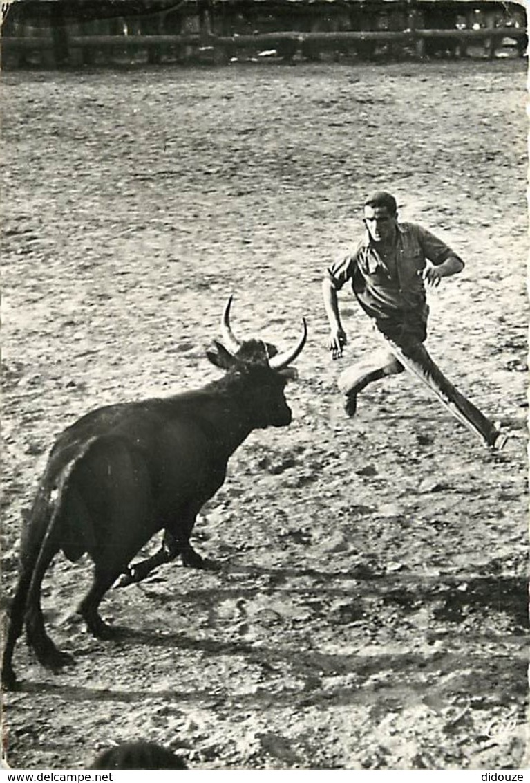 Corrida - Camargue - La Course Libre - Voir Scans Recto-Verso - Corrida