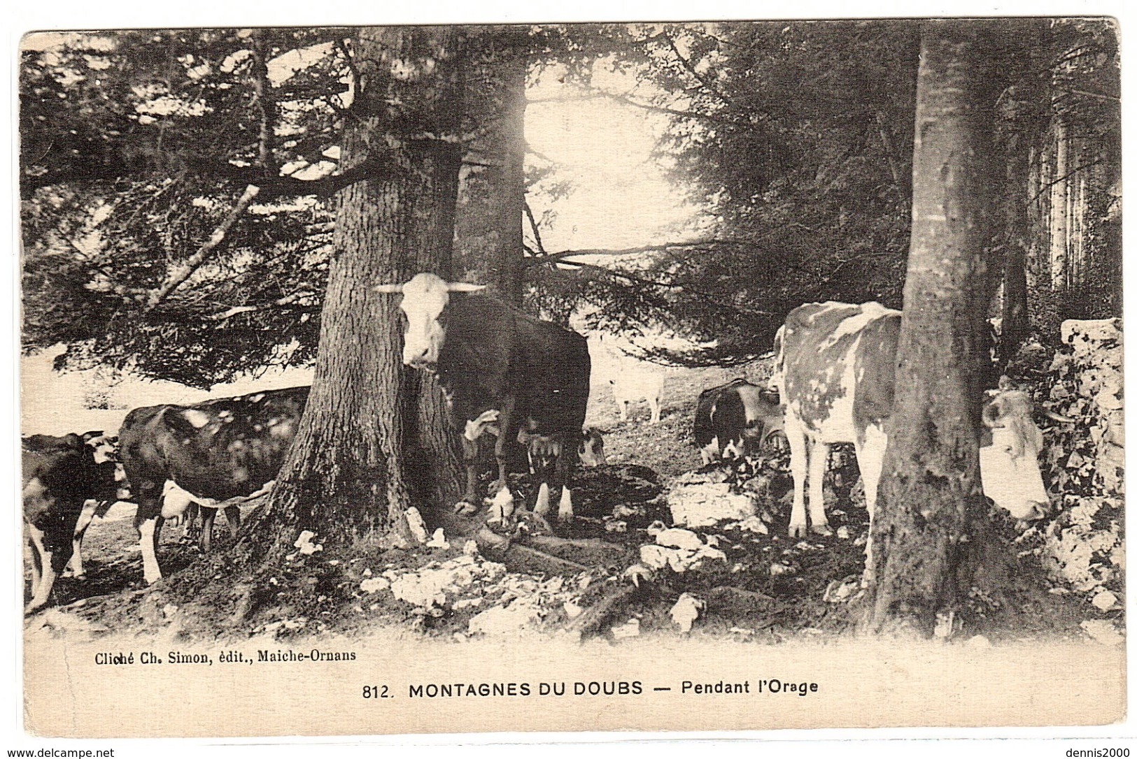 MONTAGNES DU DOUBS (25) - PEANDANT L' ORAGE - BOEUFS - ELEVAGE - AGRICULTURE - Ed. Cl. Simon, Maiche-Ornans - Allevamenti