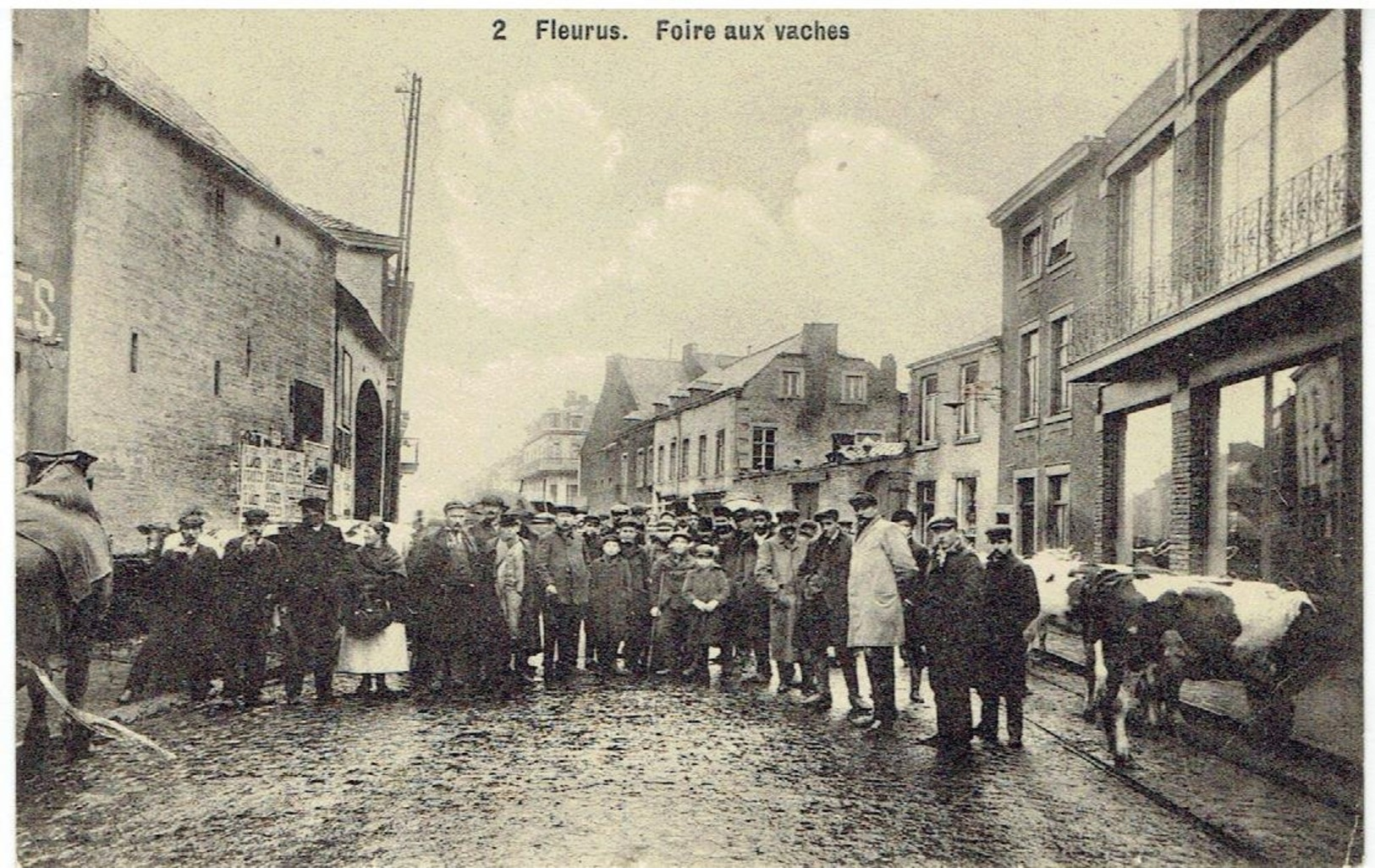 2   FLEURUS - Foire Aux Vaches - Fleurus