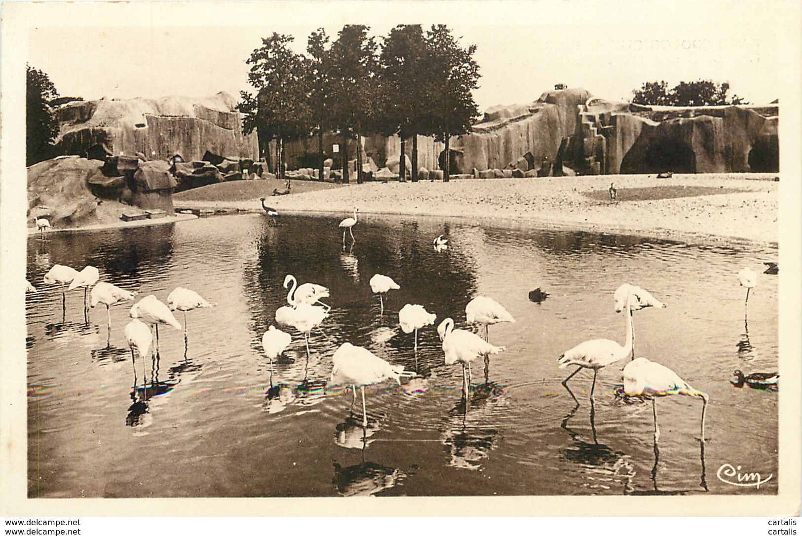 75-PARIS - PARC ZOOLOGIQUE DE VINCENNES-N°C-3011-G/0207 - Autres & Non Classés