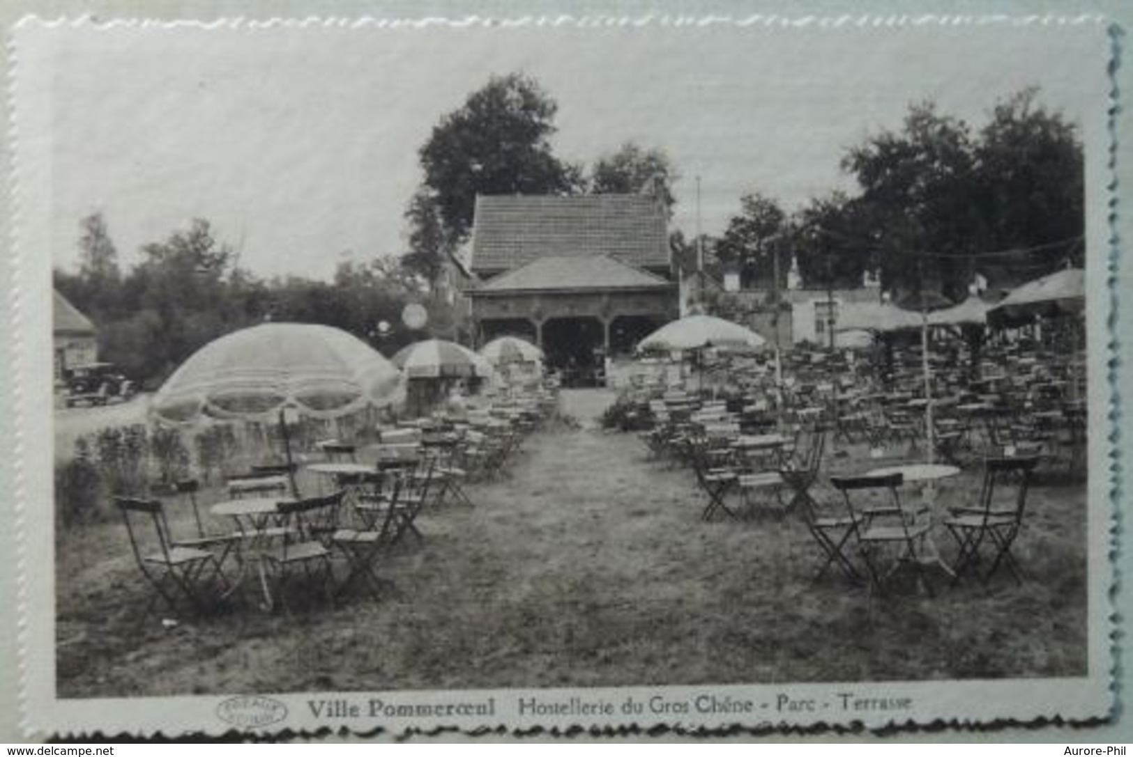 Ville Pommeroeul Hostellerie Du Gros Chêne, Parc, Terasse - Bernissart