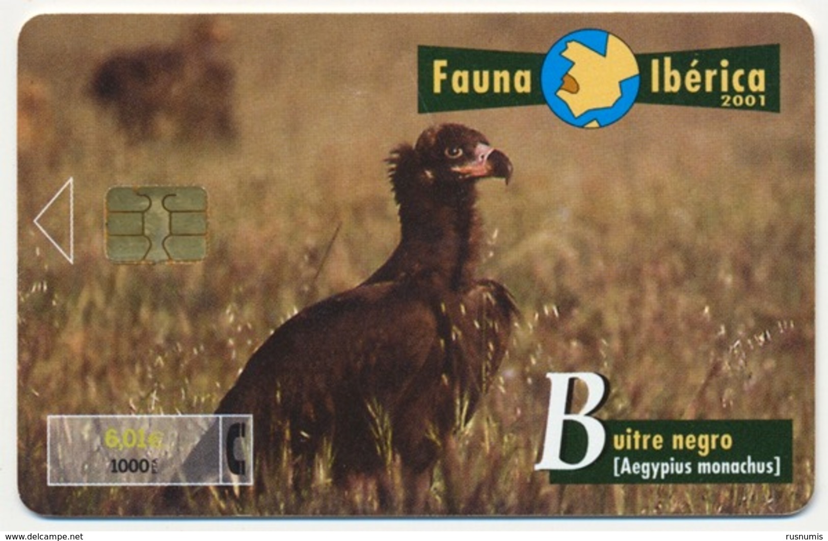 SPAIN - ESPAGNE - SPANIEN TELEFONICA FAUNA IBERICA CHIP PHONECARD TELECARTE BIRD BUITRE NEGRO AEGYPIUS MONACHUS - Herdenkingsreclame