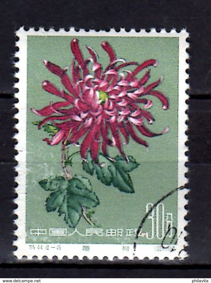 1961 China - Chrysanthemums / Chrysanthemen Used MI 582 - Gebraucht