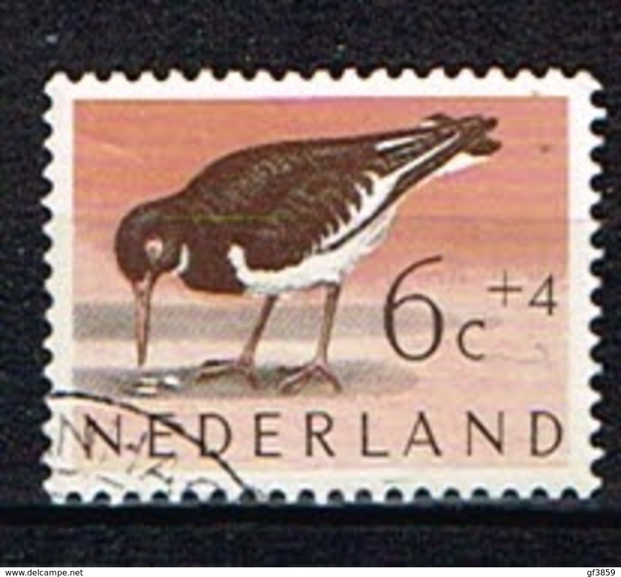 PAYS-BAS /Oblitérés/Used/ 1961 - Oiseau / Huitrier Pie - Used Stamps