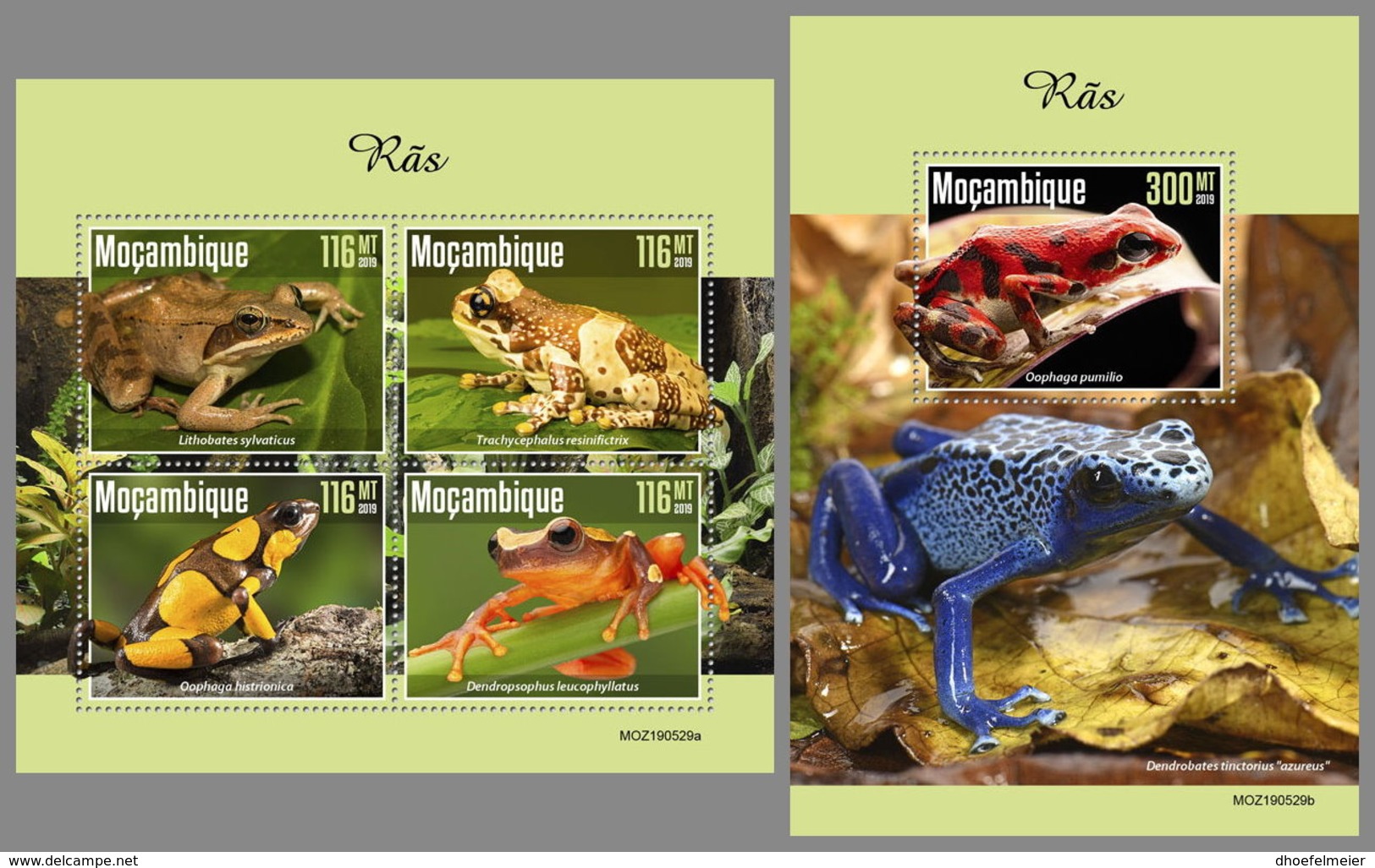 MOZAMBIQUE 2019 MNH Frogs Frösche Grenouilles M/S+S/S - OFFICIAL ISSUE - DH1945 - Grenouilles