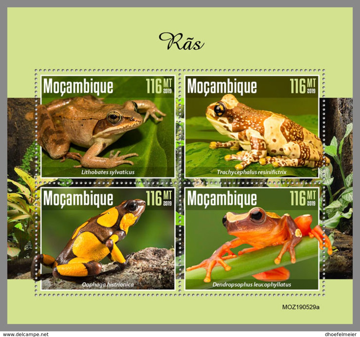 MOZAMBIQUE 2019 MNH Frogs Frösche Grenouilles M/S - IMPERFORATED - DH1945 - Grenouilles