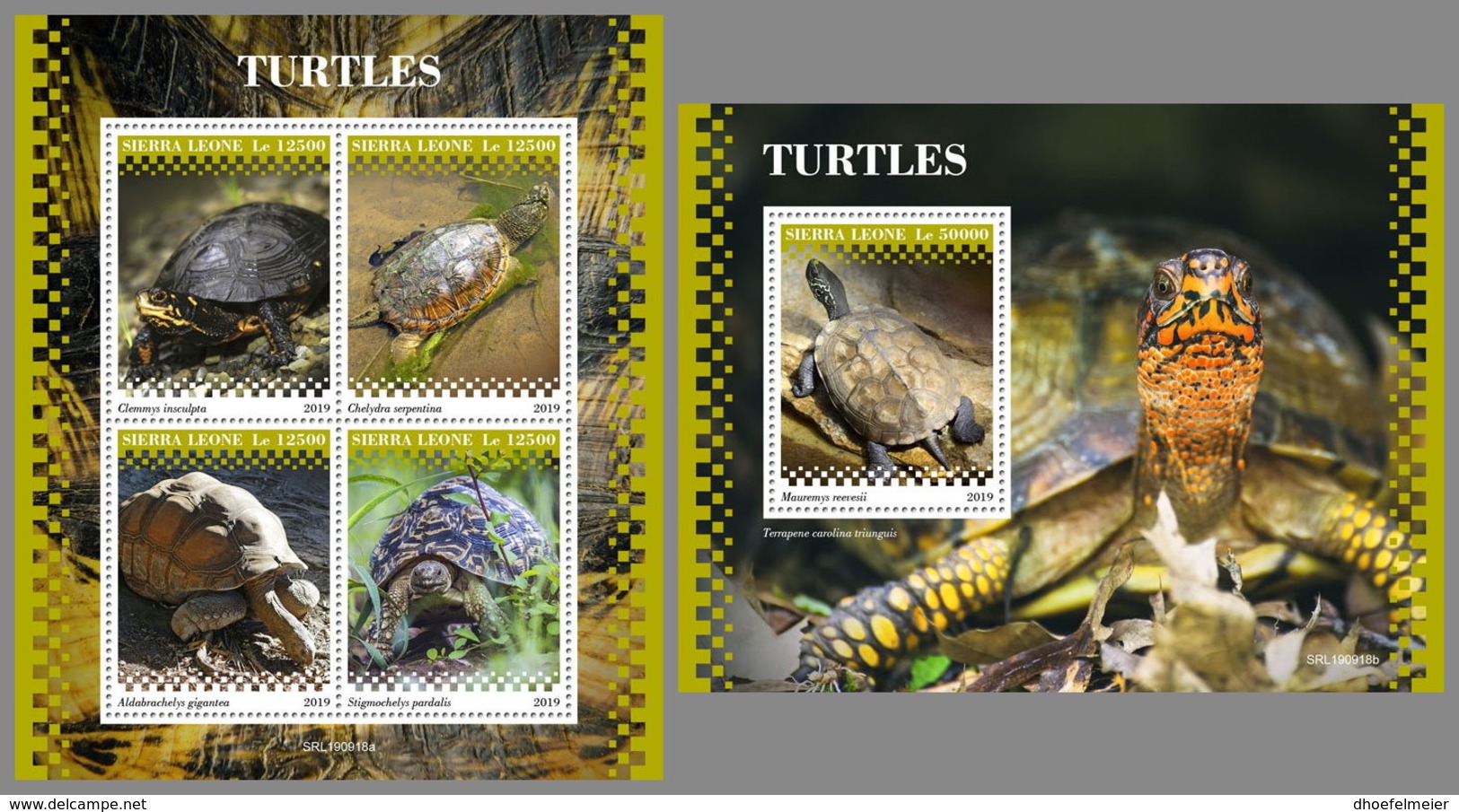 SIERRA LEONE 2019 MNH Turtles Schildkröten Tortues M/S+S/S - OFFICIAL ISSUE - DH1945 - Turtles