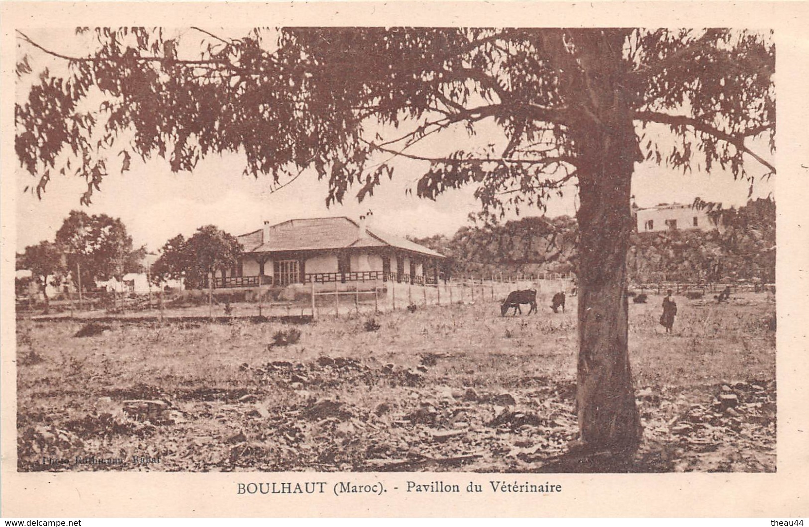 ¤¤  -   MAROC   -   BOULHAUT   -  Pavillon Du Vétérinaire    -  ¤¤ - Other & Unclassified