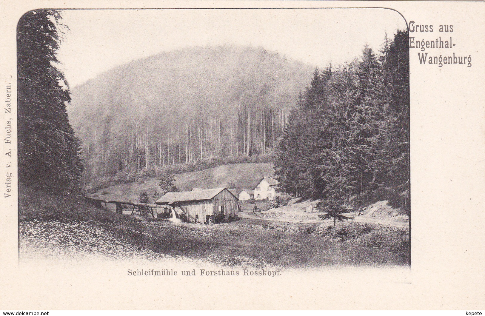 Gruss Aus Engenthal Wangenbourg - Vue Sur Schleifmühle Et Forsthaus Rosskopf:  Maison Forestiere - Onf - Eaux Et Forêts - Other & Unclassified