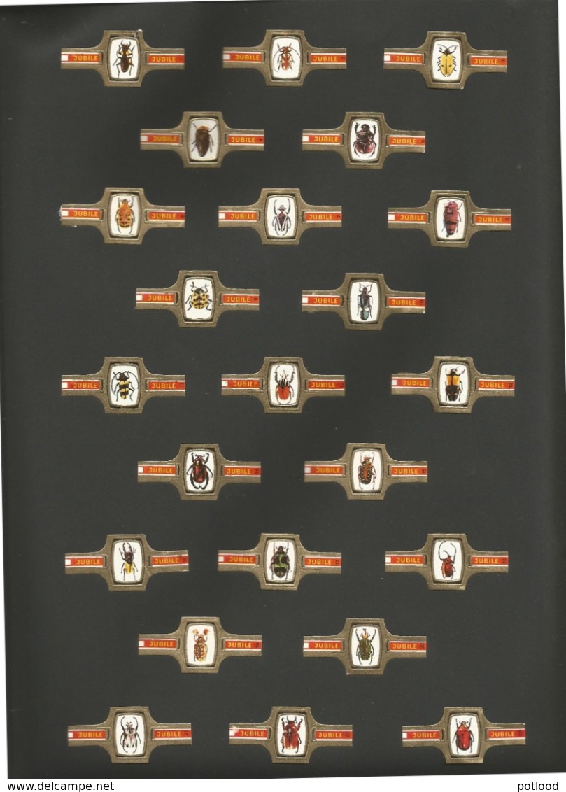 Oude Sigarenbandjes (zie Scan) - Cigar Bands