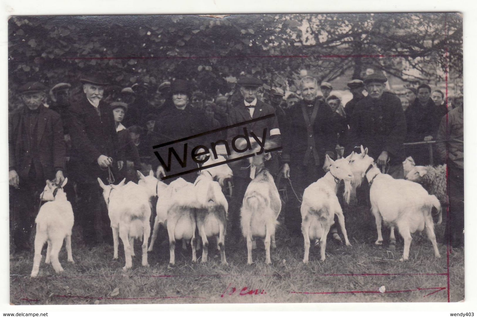 Schoten (originele Foto Prijskamp Geiten) - Schoten