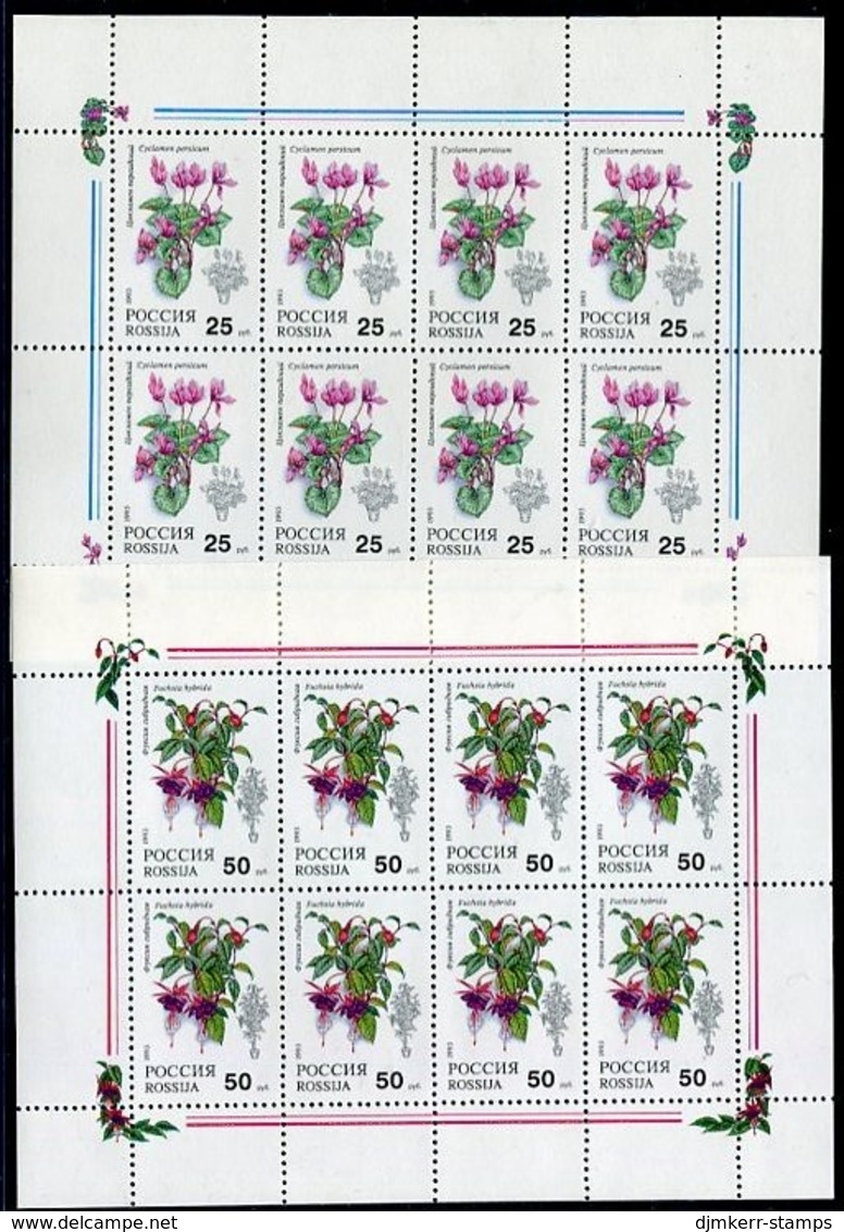 RUSSIA 1993 Houseplants Sheetlets MNH / ** .  Michel 298-99 Kb - Blocs & Feuillets