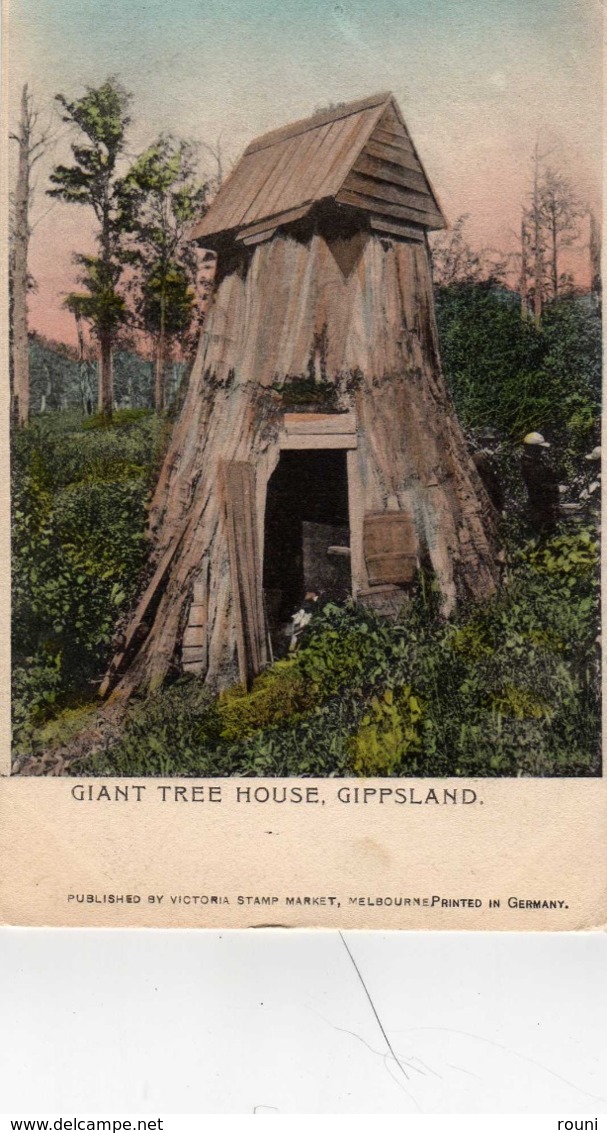GIANT TREE HOUSE, GIPPSLAND - Gippsland