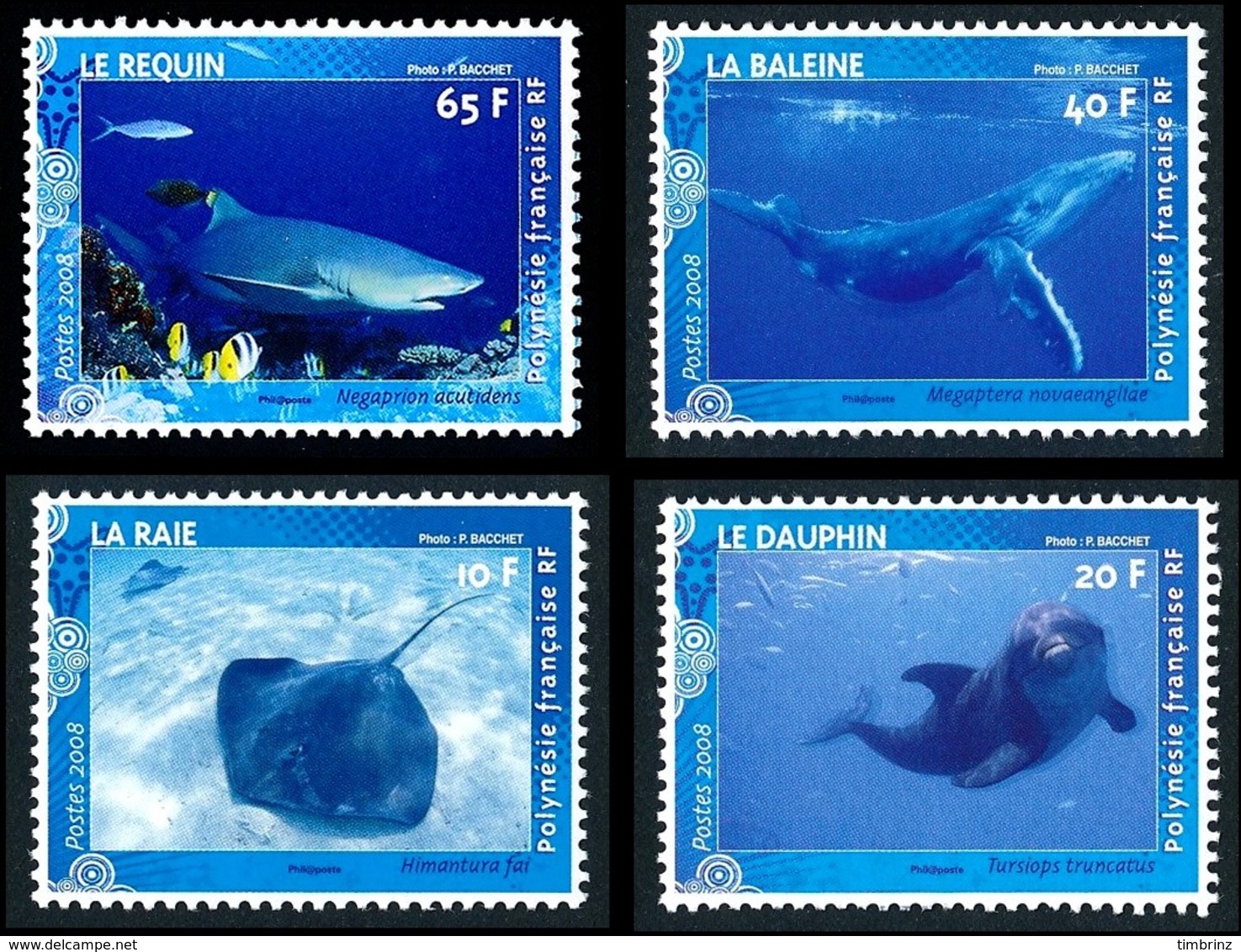 POLYNESIE 2008 - Yv. 824 825 826 Et 827 **   Faciale= 1,13 EUR - Raie, Dauphin, Baleine, Requin (4 Val.)  ..Réf.POL24831 - Neufs