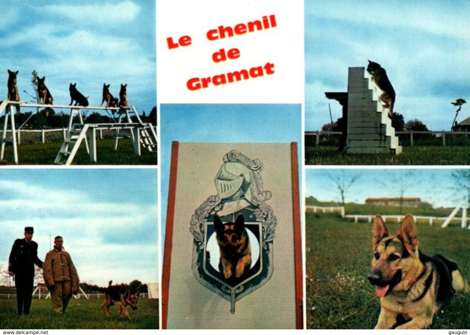 CPM - GENDARMERIE NATIONALE - LE CHENIL De GRAMAT - Dressage Des CHIENS  ... - Police - Gendarmerie