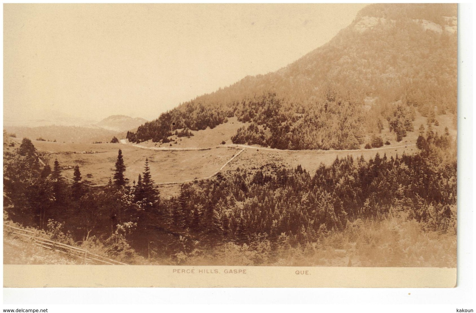 Perce Hills, GASPE, Quebec, Non Circulée (6285) - Percé