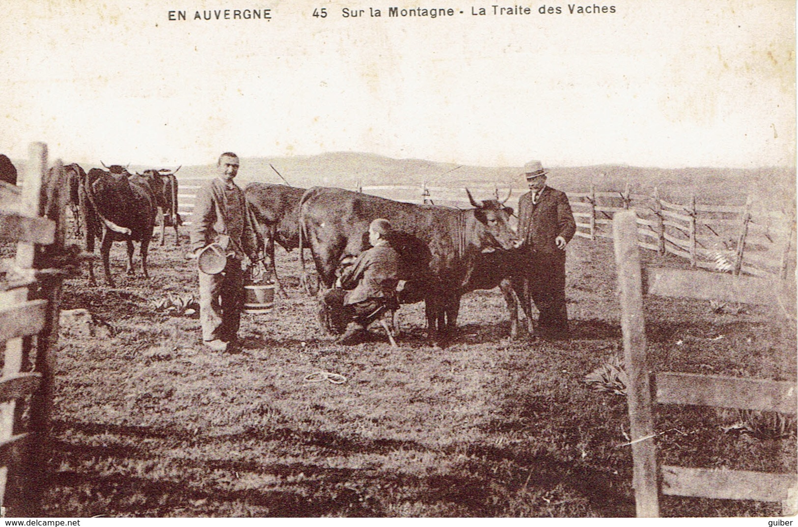 En Auvergne Sur La Montagne La Traite Des Vaches  Cépia N° 45 - Elevage