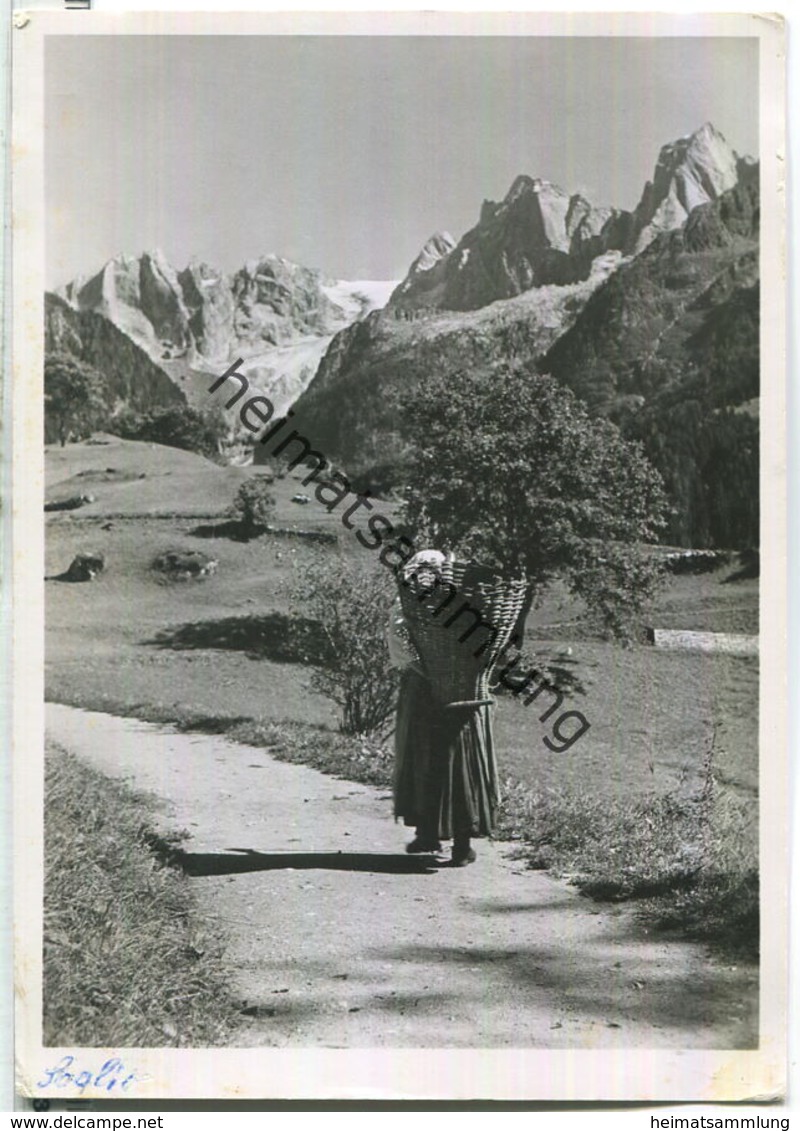 Soglio - Frau Mit Kiepe - Foto-Ansichtskarte - Verlag P. Pomatti Castasegna - Castasegna