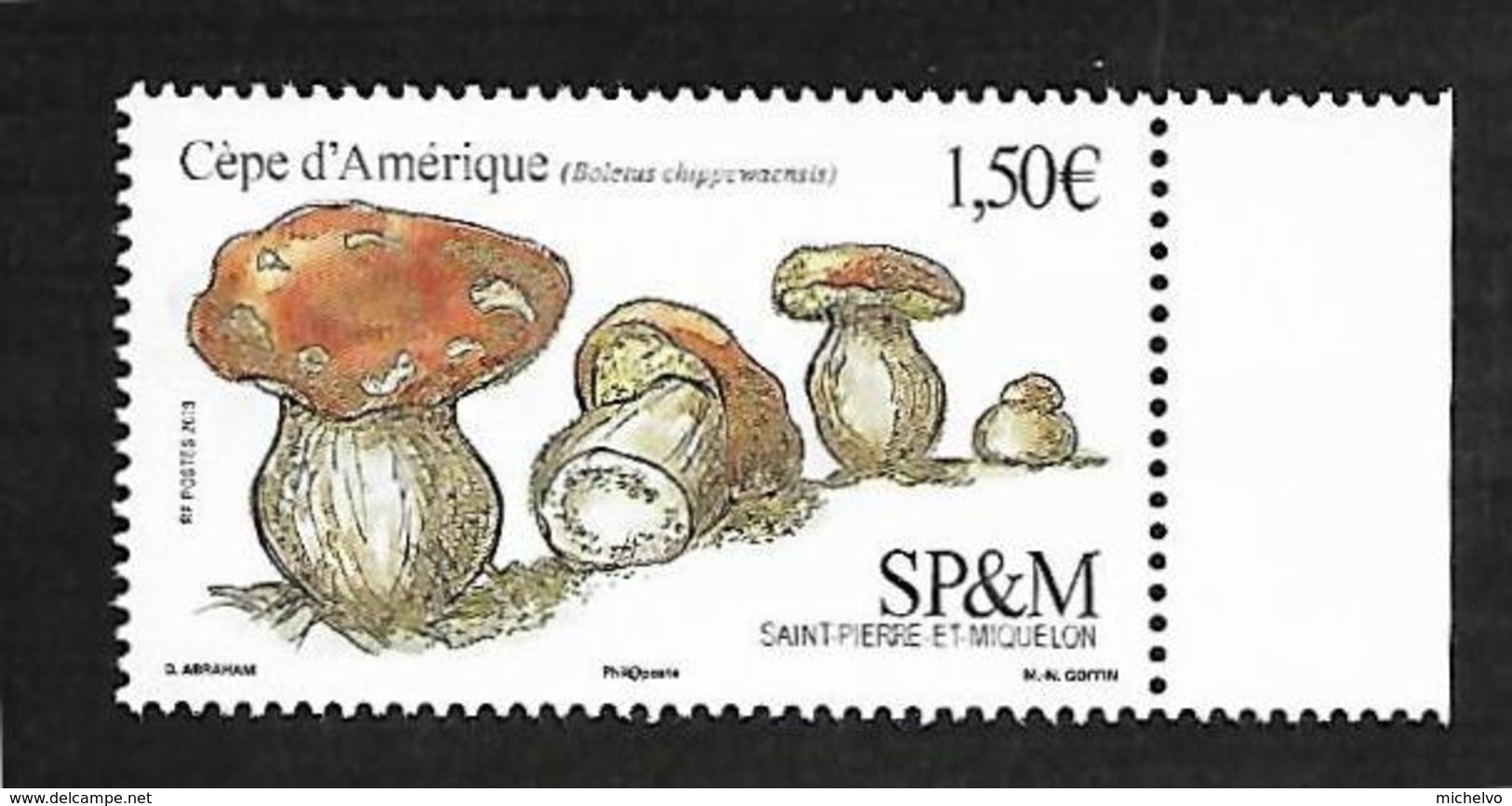 SP & M 2019 -  Le Cèpe D'Amérique ** - Unused Stamps