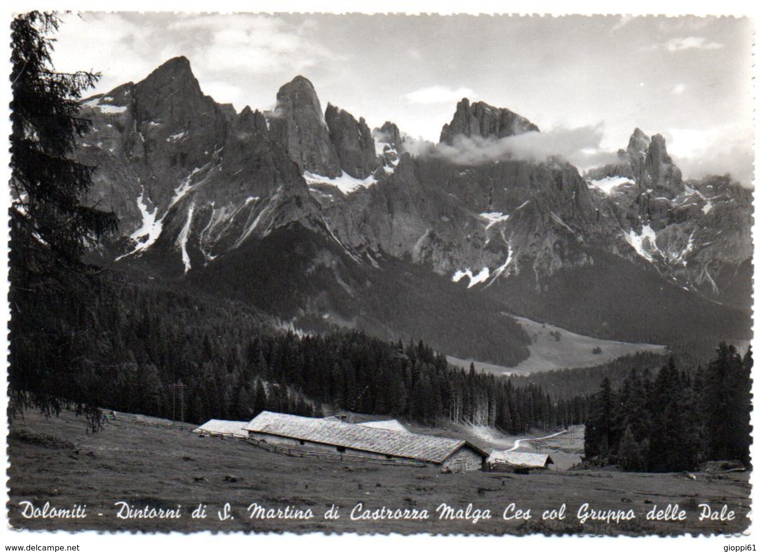 San Martino Di Castrozza - Malga Ces E Gruppo Delle Pale - Other & Unclassified