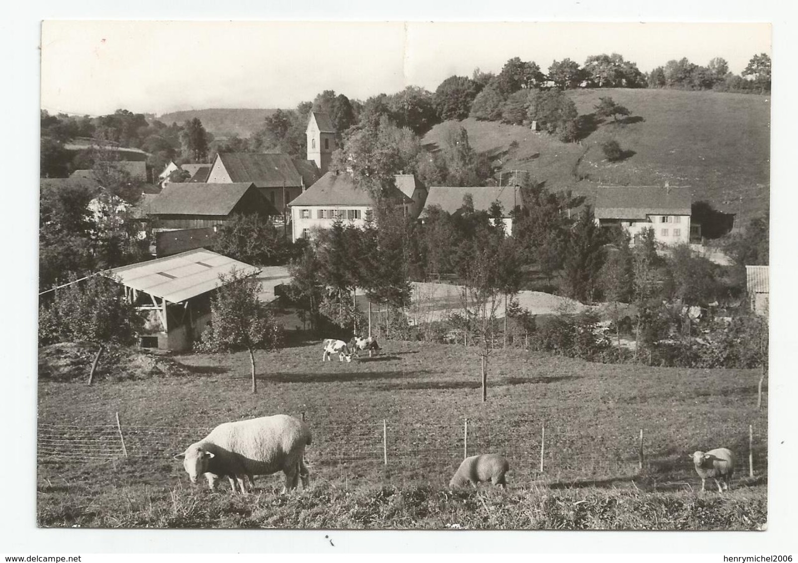 68 Haut Rhin Ligsdorf Près Ferette Mouton , Ed Photo Danner St Louis - Ferrette