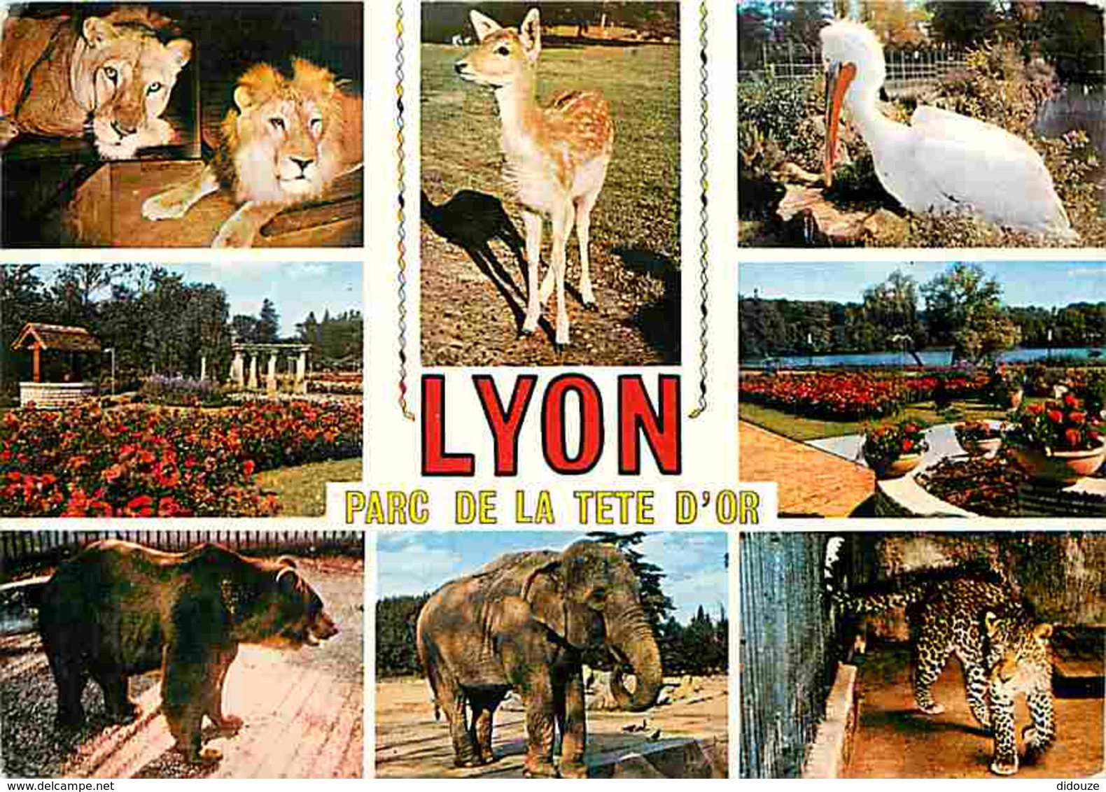 Animaux - Divers - Lyon - Parc De La Tete D'Or - Multivues - Lions - Ours - Eléphants - Voir Scans Recto-Verso - Autres & Non Classés