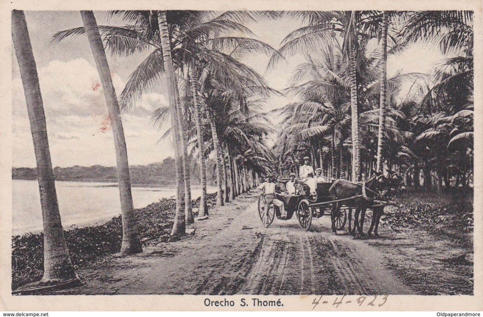 POSTCARD PORTUGAL - OLD COLONY - SÃO TOMÉ E  PRINCIPE - ORECHO   , S. THOMÉ - Sao Tome Et Principe