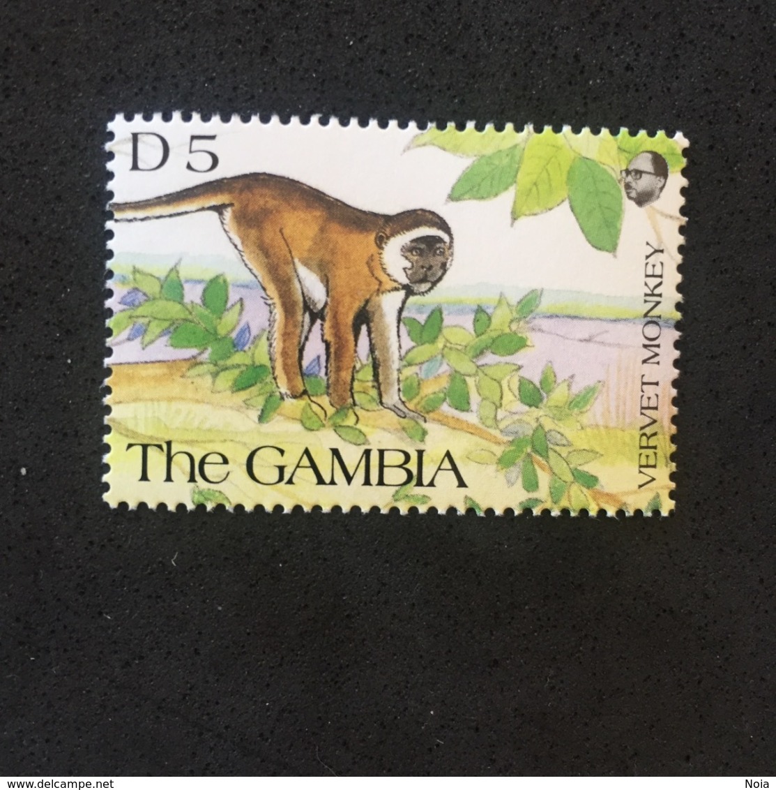 GAMBIA. MONKEY. MNH. 5R1401C - Chimpanzees