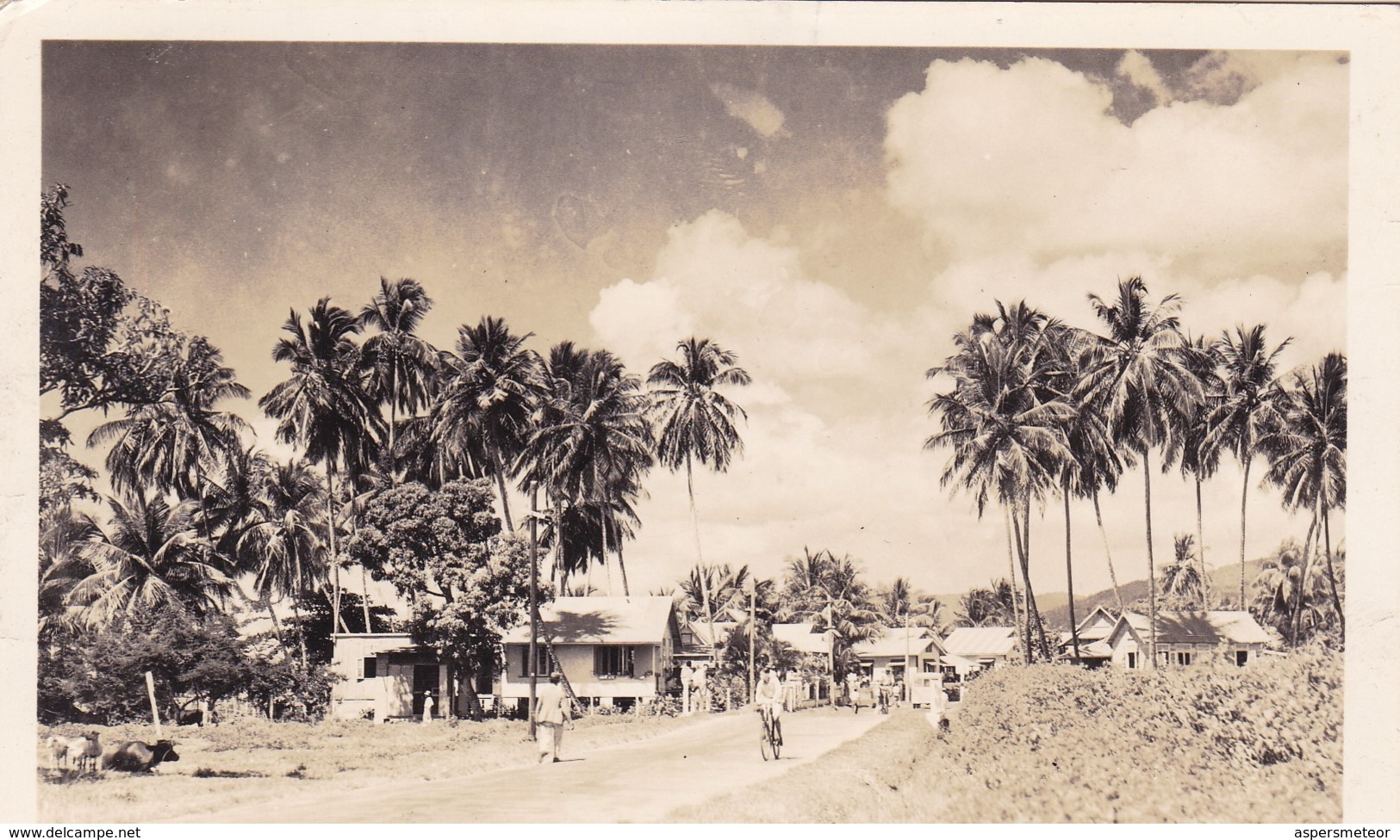 TRINIDAD & TOBAGO. PHOTO BY W. E. ROSS. POSTALE CIRCULEE 1939 TO NUREMBERG -LILHU - Trinidad