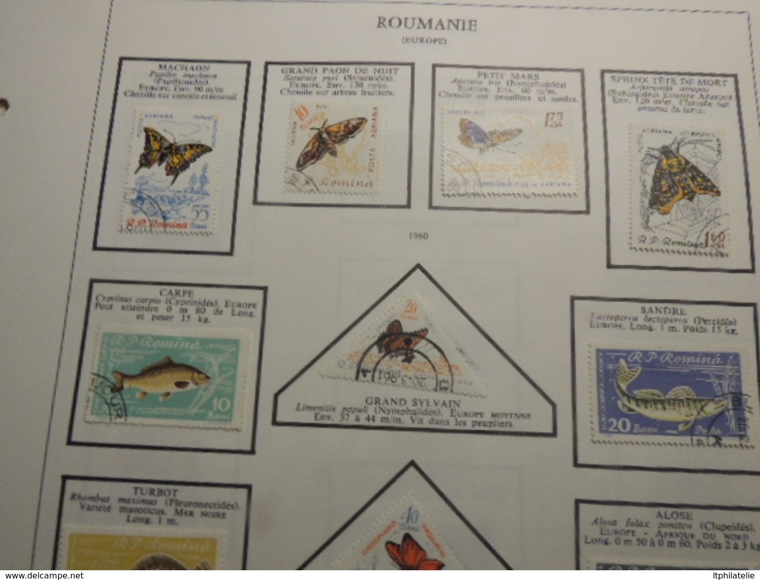 TIMBRES THEMATIQUES ANIMAUX  RUSSIE  ROUMANIE TURQUIE NEUFS*  ET OBLITERES PARFAIT  ETAT - Autres & Non Classés