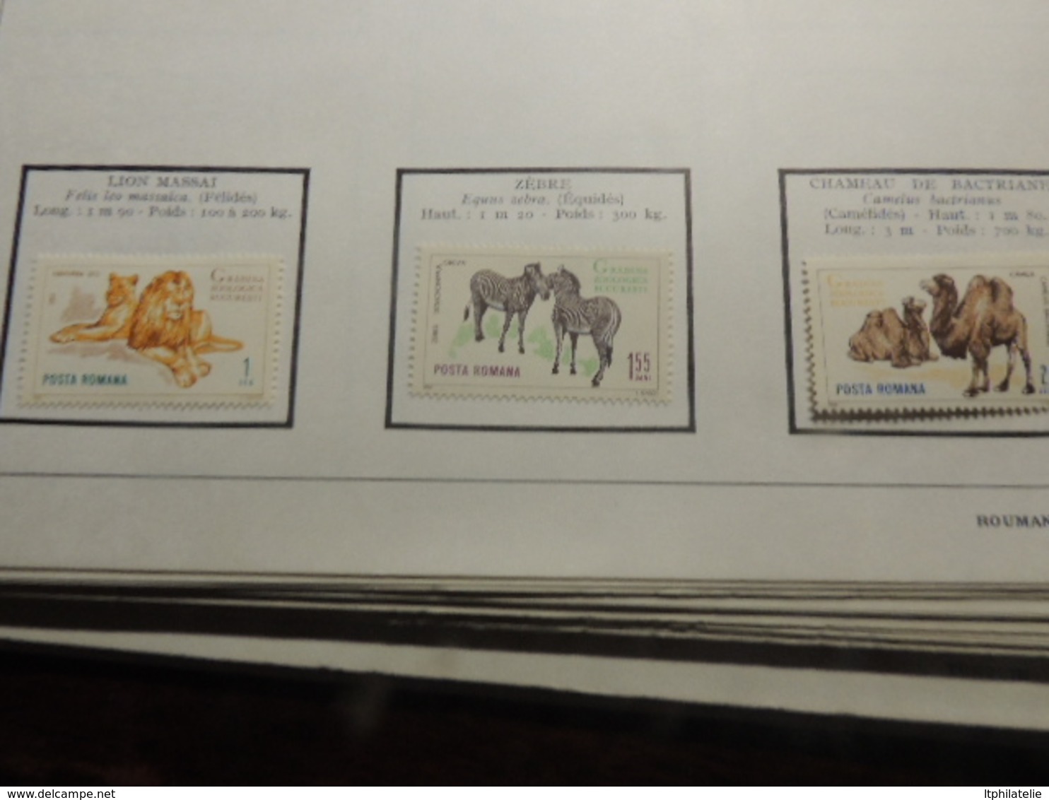 TIMBRES THEMATIQUES ANIMAUX  RUSSIE  ROUMANIE TURQUIE NEUFS*  ET OBLITERES PARFAIT  ETAT