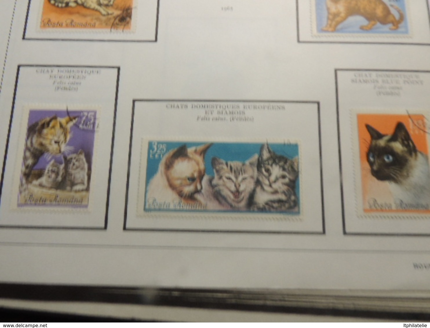 TIMBRES THEMATIQUES ANIMAUX  RUSSIE  ROUMANIE TURQUIE NEUFS*  ET OBLITERES PARFAIT  ETAT