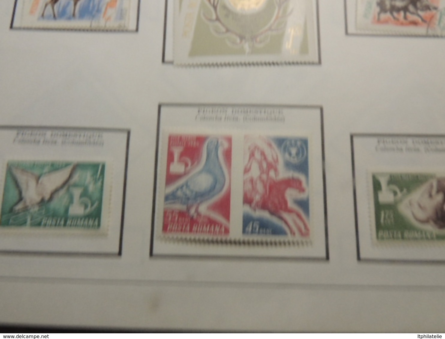 TIMBRES THEMATIQUES ANIMAUX  RUSSIE  ROUMANIE TURQUIE NEUFS*  ET OBLITERES PARFAIT  ETAT