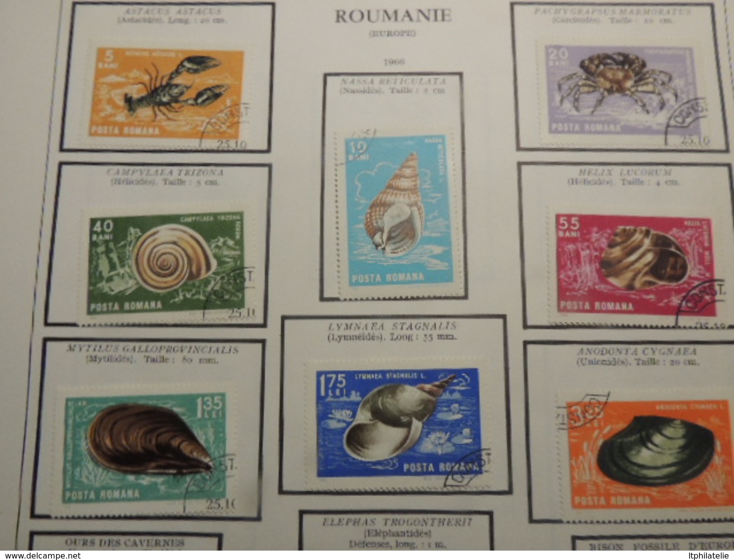 TIMBRES THEMATIQUES ANIMAUX  RUSSIE  ROUMANIE TURQUIE NEUFS*  ET OBLITERES PARFAIT  ETAT