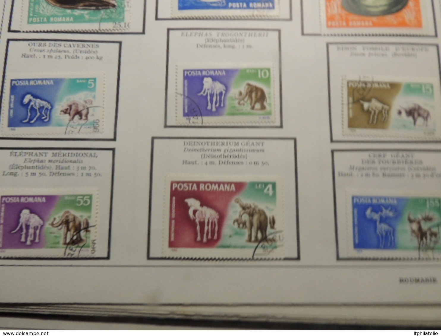 TIMBRES THEMATIQUES ANIMAUX  RUSSIE  ROUMANIE TURQUIE NEUFS*  ET OBLITERES PARFAIT  ETAT