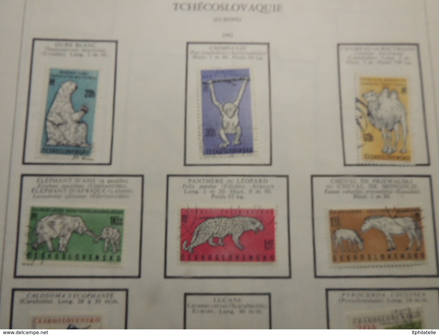 TIMBRES THEMATIQUES ANIMAUX  RUSSIE  ROUMANIE TURQUIE NEUFS*  ET OBLITERES PARFAIT  ETAT