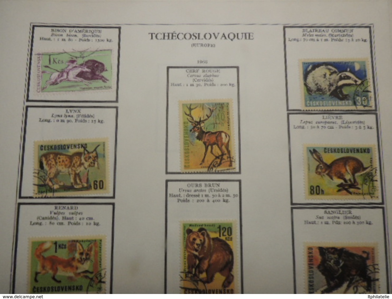 TIMBRES THEMATIQUES ANIMAUX  RUSSIE  ROUMANIE TURQUIE NEUFS*  ET OBLITERES PARFAIT  ETAT