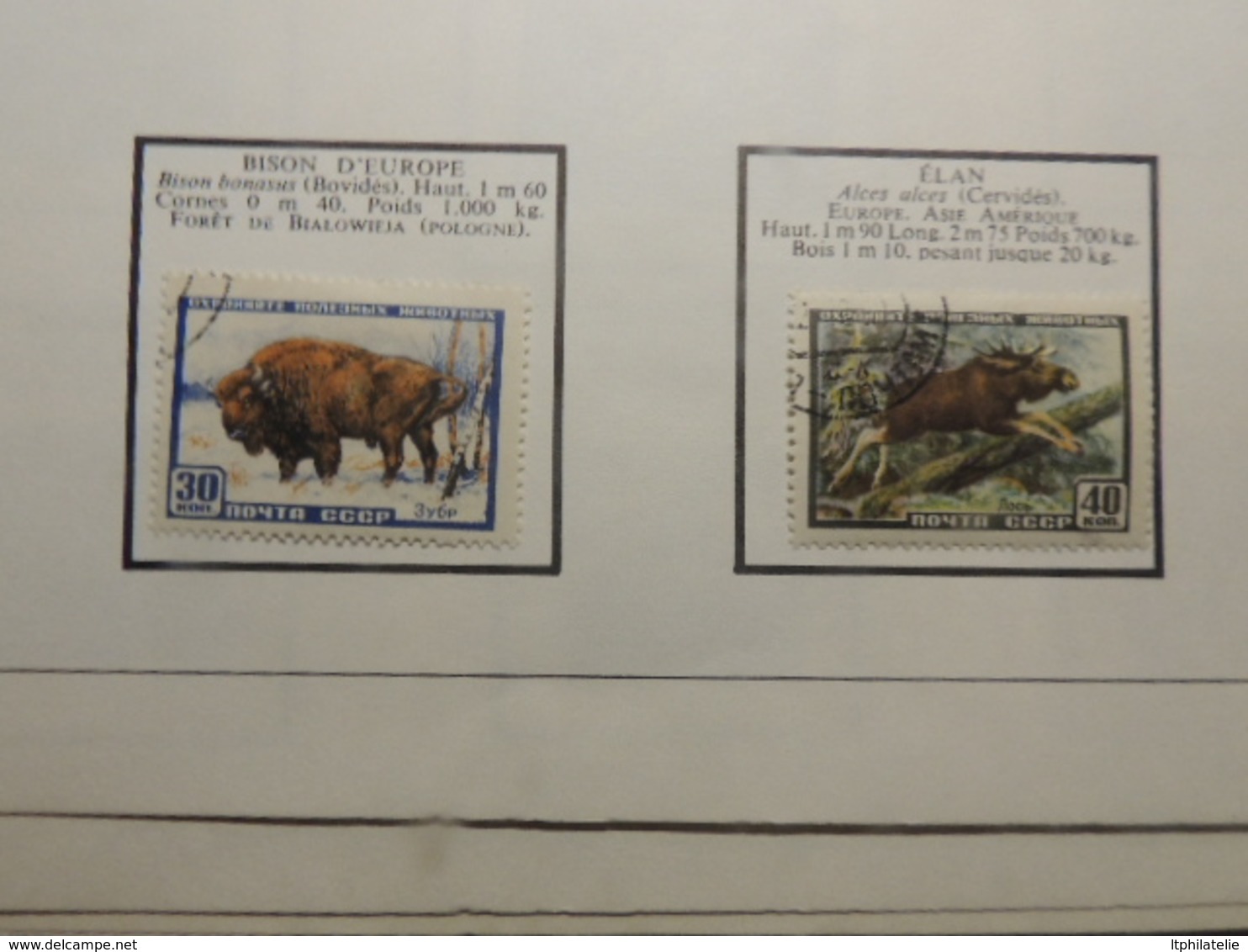 TIMBRES THEMATIQUES ANIMAUX  RUSSIE  ROUMANIE TURQUIE NEUFS*  ET OBLITERES PARFAIT  ETAT