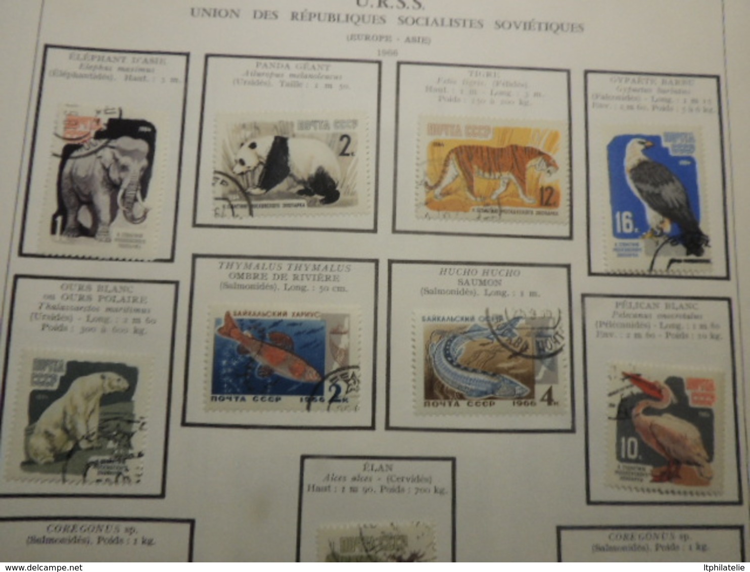 TIMBRES THEMATIQUES ANIMAUX  RUSSIE  ROUMANIE TURQUIE NEUFS*  ET OBLITERES PARFAIT  ETAT