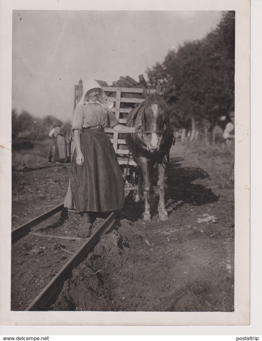 PEAT WORKERS ASCOTT NEAR BRIDGWATER PEAT DIGGING FIELD RAILWAY HORSE   +- 21*16CM Fonds Victor FORBIN (1864-1947) - Professions