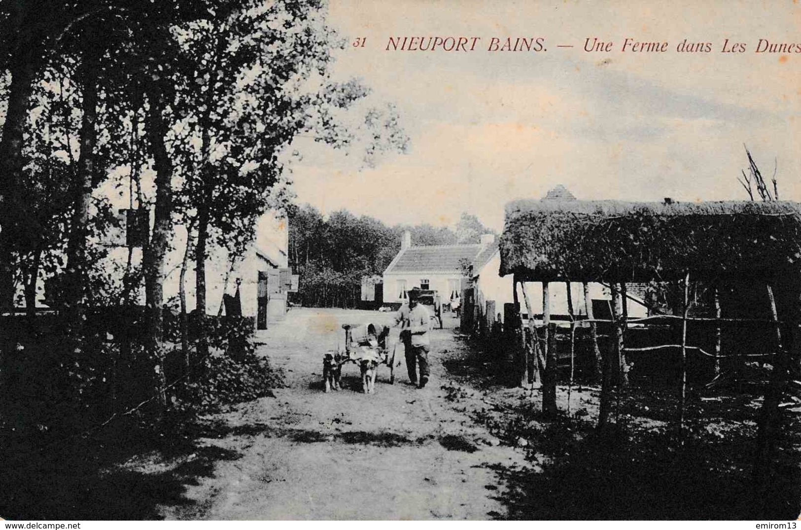 NIEUPORT BAINS Une Ferme Dans Les Dunes Attelage De Chiens!! Édit. Th. Van Den Heuvel N°31 - Nieuwpoort