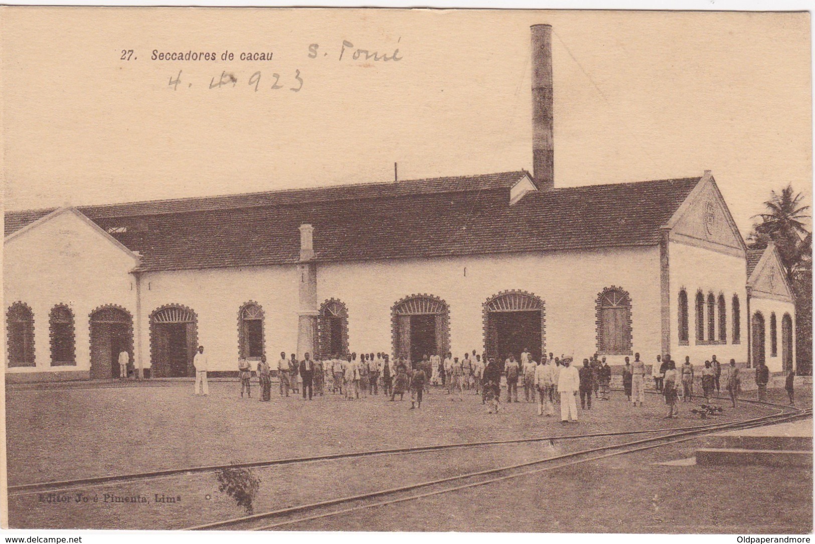 POSTCARD PORTUGAL - OLD COLONY - SÃO TOMÉ E  PRINCIPE - SECADORES DE CACAU    , S. THOMÉ - Sao Tome Et Principe