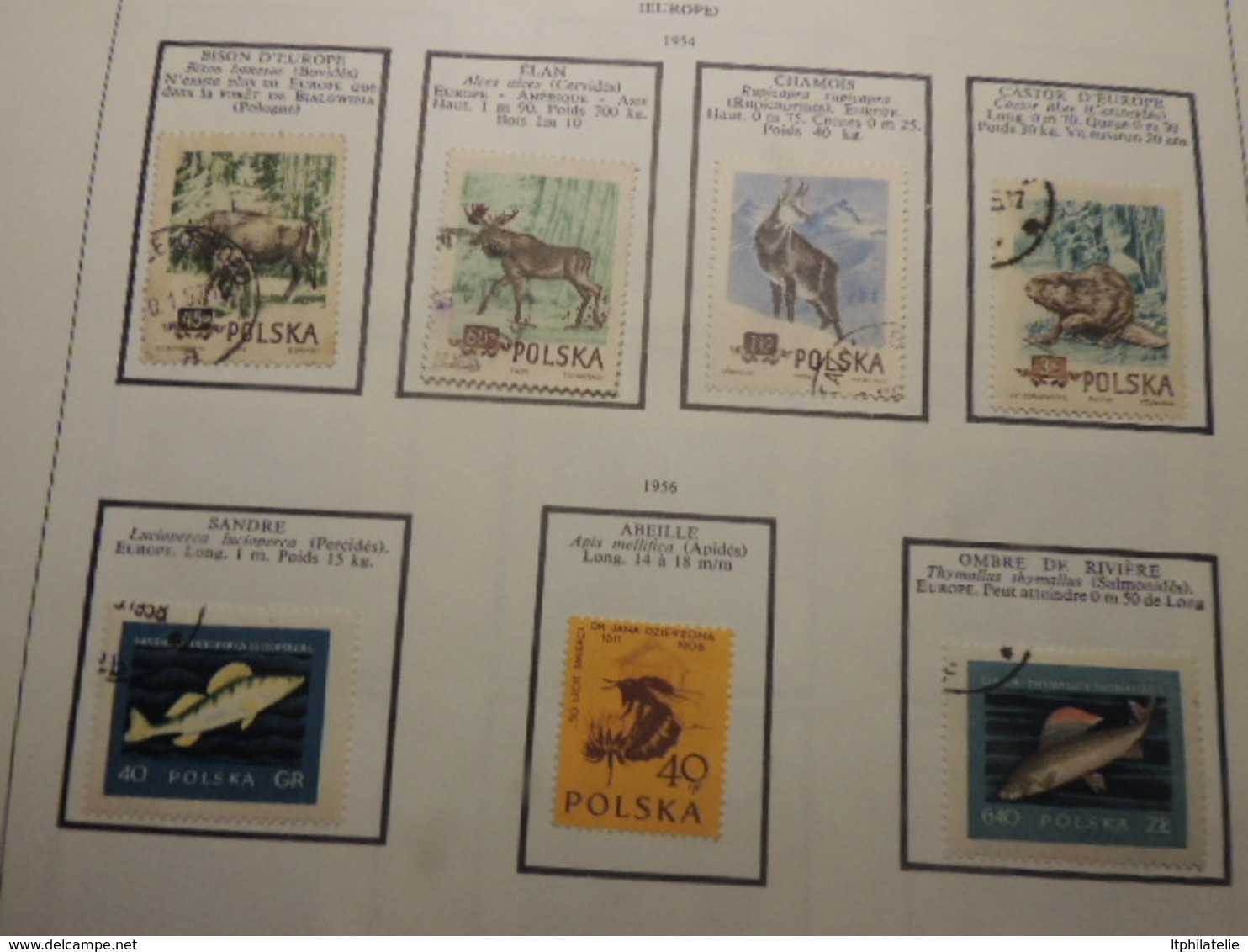 BEAUX TIMBRES THEMATIQUES ANIMAUX ESPAGNE ITALIE FINLANDE MONACO (oiseaux)POLOGNE ETC NEUFS*  ET OBLITERES PARFAIT  ETAT