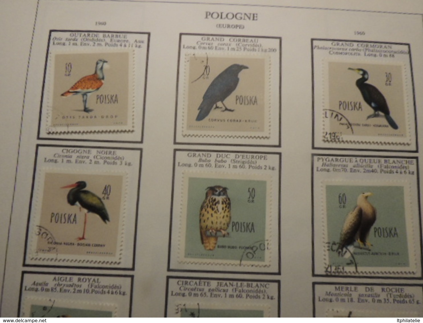 BEAUX TIMBRES THEMATIQUES ANIMAUX ESPAGNE ITALIE FINLANDE MONACO (oiseaux)POLOGNE ETC NEUFS*  ET OBLITERES PARFAIT  ETAT