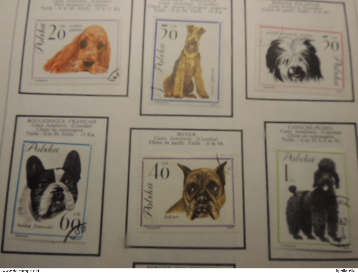 BEAUX TIMBRES THEMATIQUES ANIMAUX ESPAGNE ITALIE FINLANDE MONACO (oiseaux)POLOGNE ETC NEUFS*  ET OBLITERES PARFAIT  ETAT