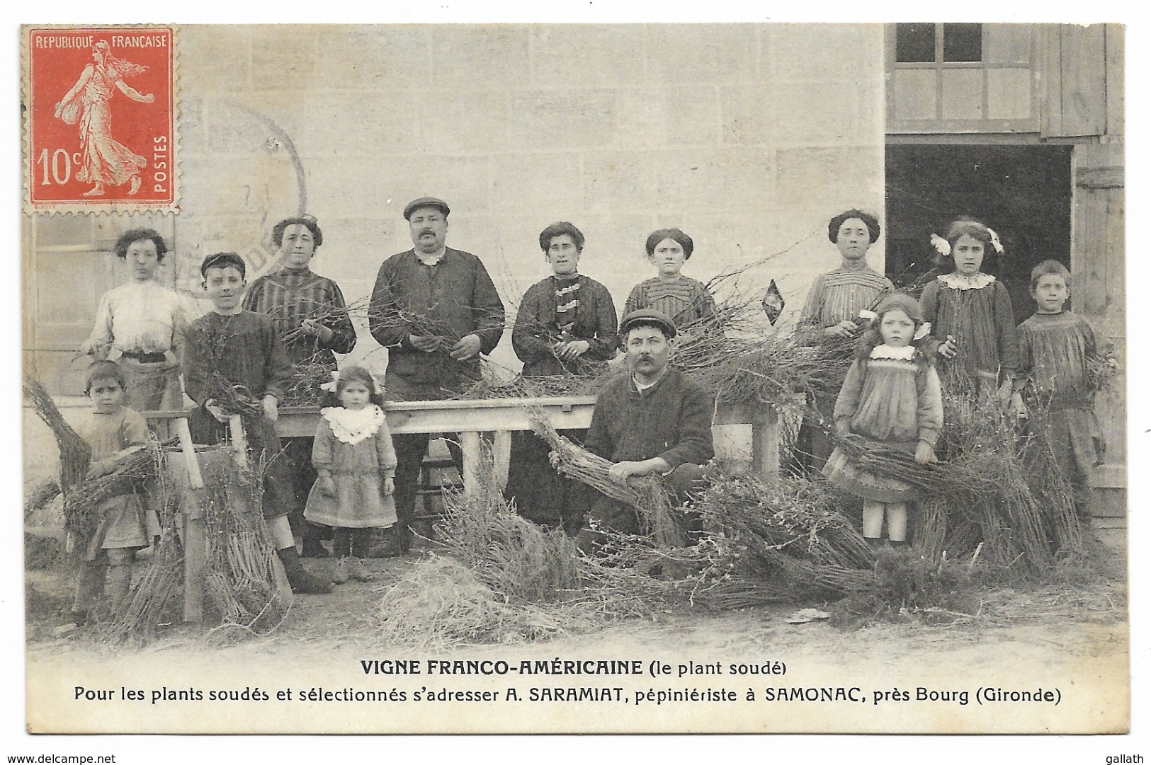 33-SAMONAC-Pépinière A. SARAMIAT, Vigne Franco-Américaine, Plants Soudés... 1912  Animé - Autres & Non Classés