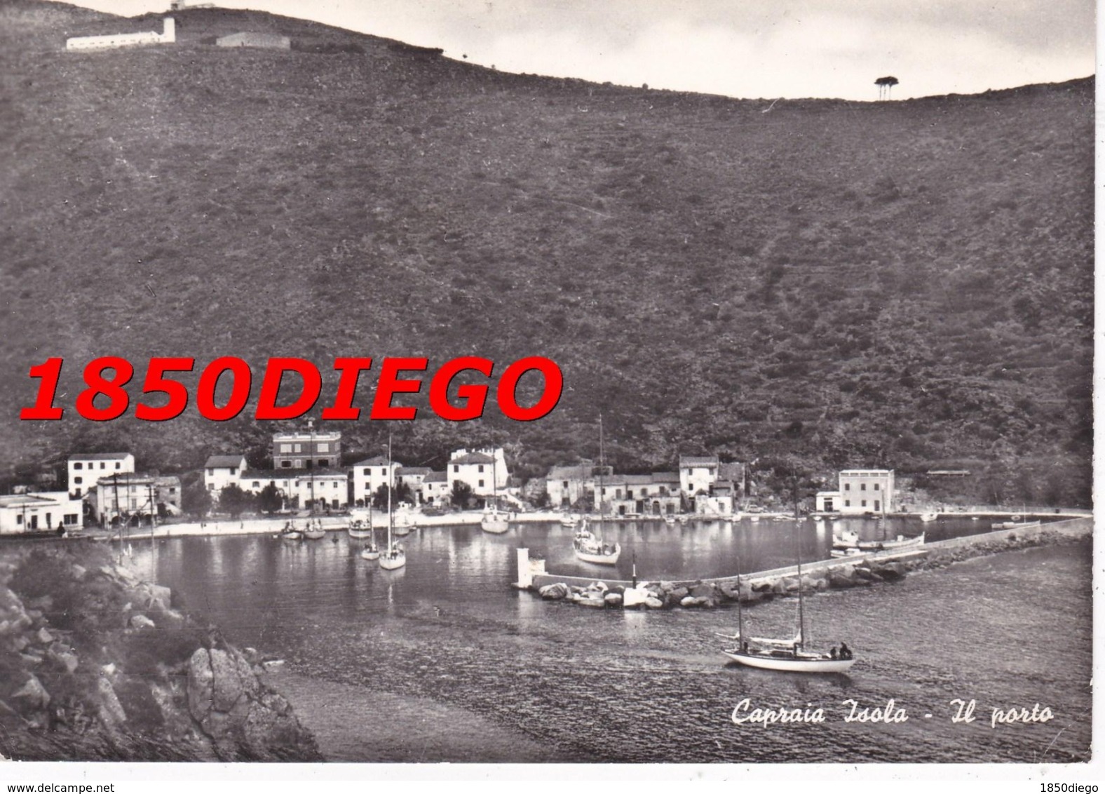 CAPRAIA ISOLA - IL PORTO F/GRANDE VIAGGIATA 1962 ANIMAZIONE - Livorno