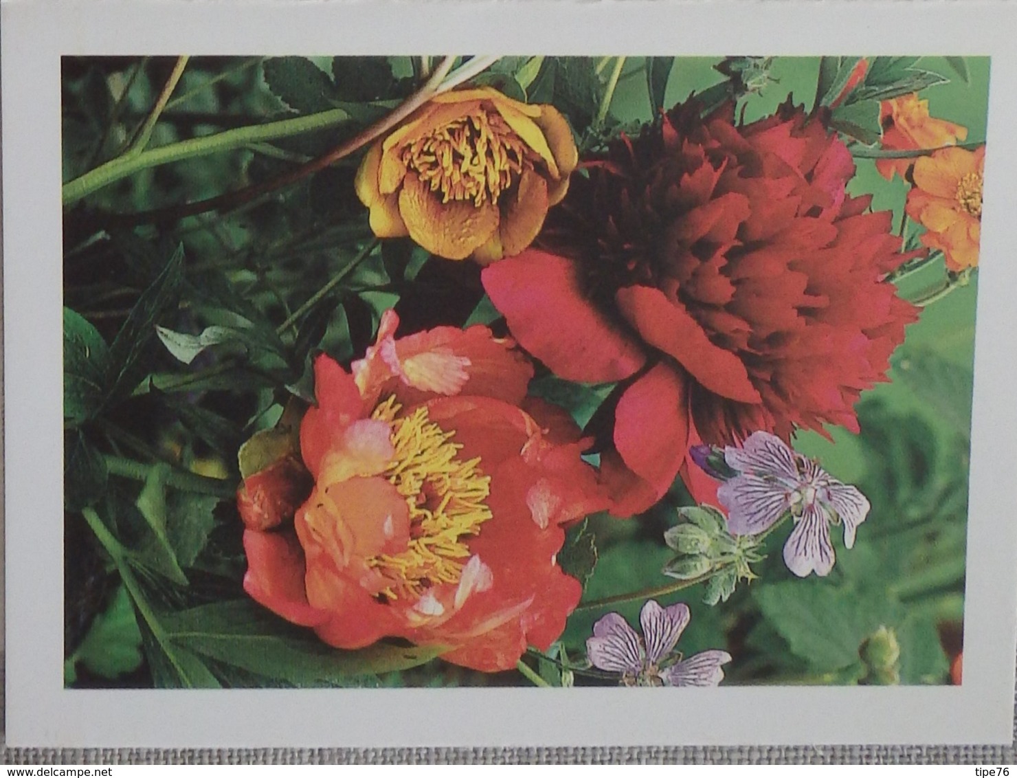 Petit Calendrier De Poche 2005 Fleur  Pivoine Pharmacie Meung Sur Loire - Petit Format : 2001-...