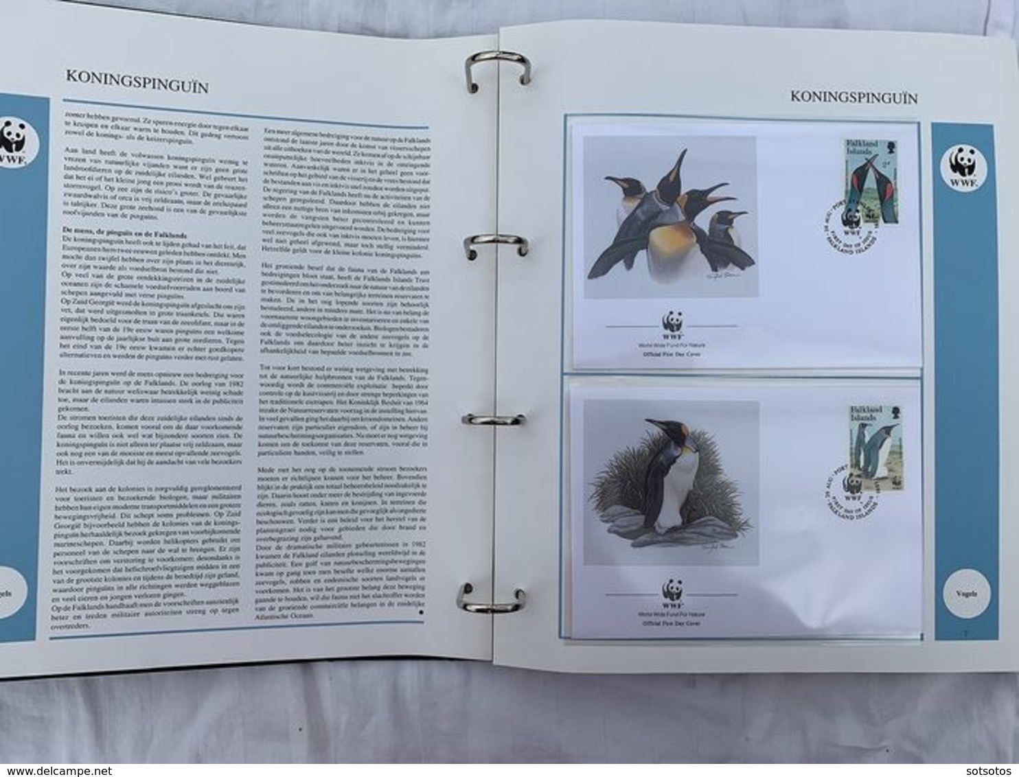 WWF 2 Luxury Albums And Slipcases With Series And FDCs Of Endangered Species MNH (Mint Never Hinged) - Colecciones & Series